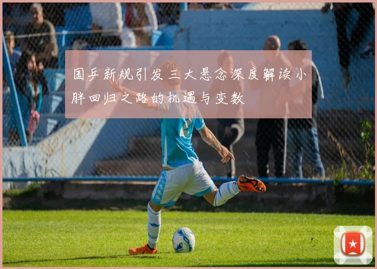 国乒新规引发三大悬念深度解读小胖回归之路的机遇与变数