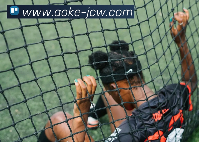 澳客竞彩官网：全球职业竞技赛事资讯与实时数据交互门户品牌故事