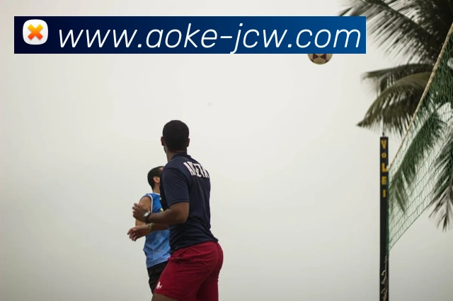 澳客竞彩官网：全球职业竞技赛事资讯与实时数据交互门户服务体系